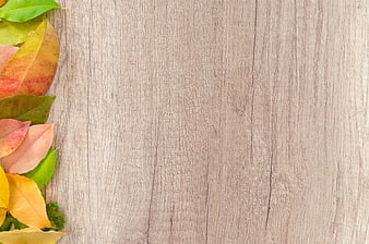 Autumn leaves border on rustic wooden background