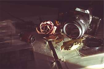 Vintage Nikon Camera with Rose and Film Roll on Photo Album