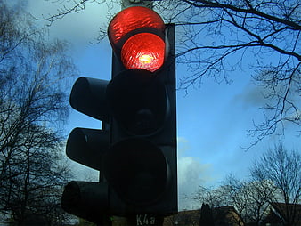 Red traffic light signal against blue sky with bare trees