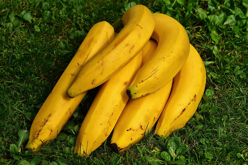 Fresh yellow bananas lying on green grass