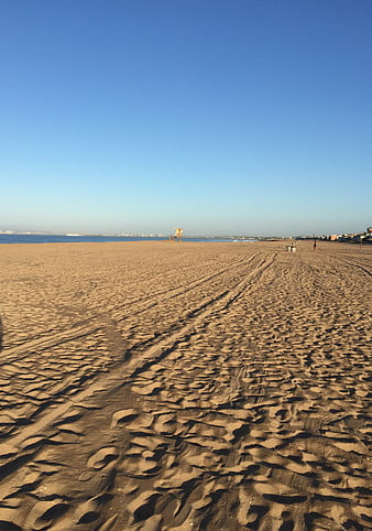 Wide sandy beach with tire tracks and blue sky