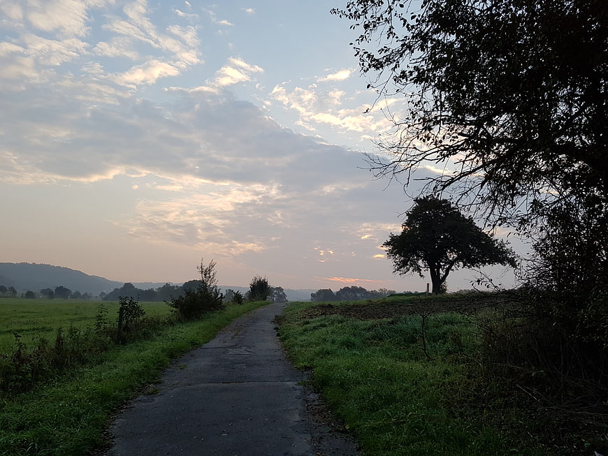 Narrow country road through green fields at sunrise with clouds