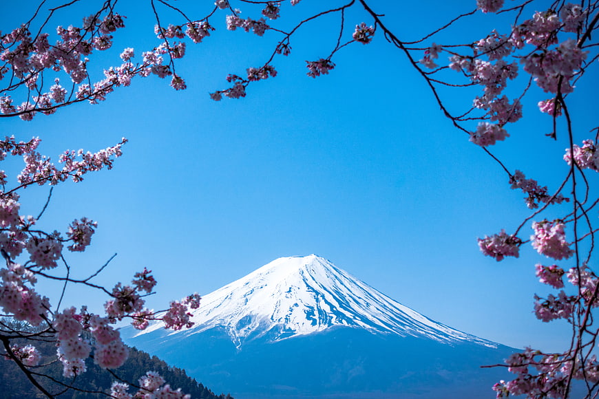Mount Fuji with Cherry Blossoms in Spring