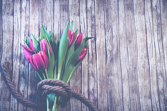 Pink Tulips Tied with Rope on Rustic Wooden Background