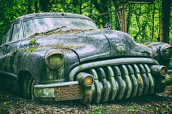 Abandoned Vintage Buick Car Rusted In Forest