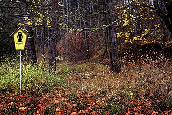 Yellow Nature Reserve Sign in Autumn Forest