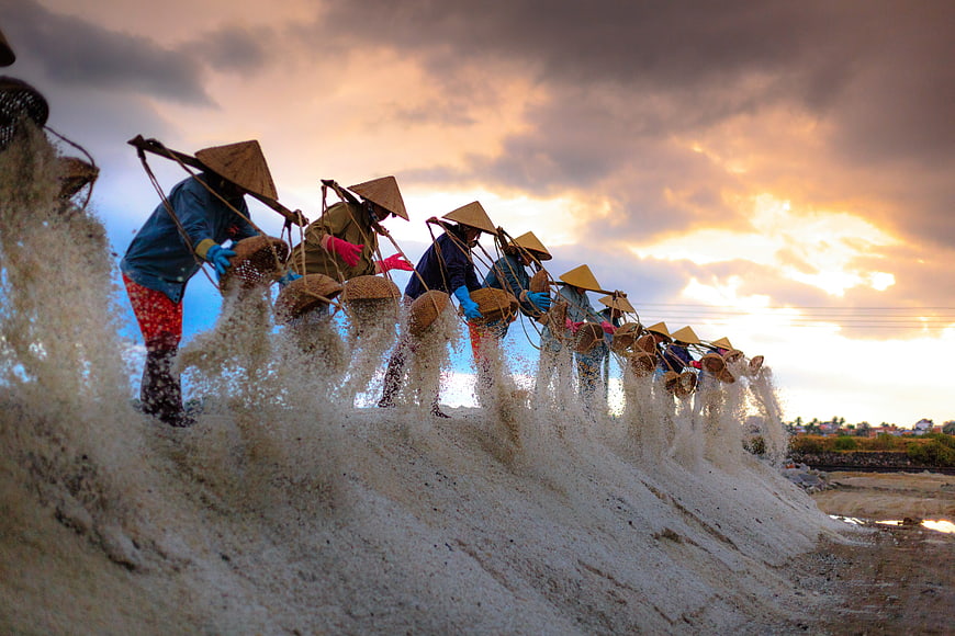 Vietnamese salt farmers harvesting sea salt at sunset