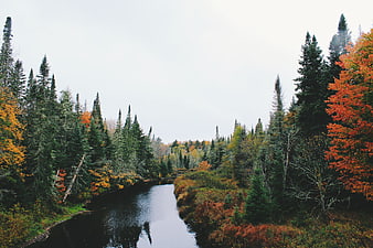 Serene Autumn River Winding Through Colorful Forest Landscape