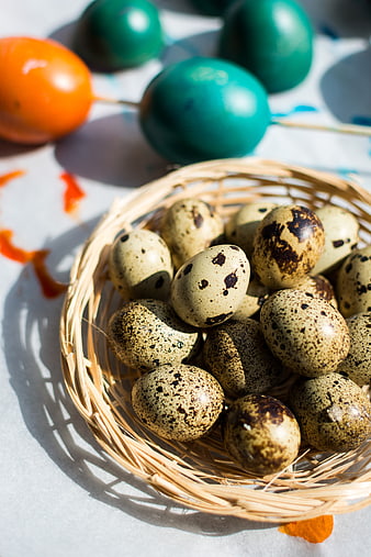 Quail eggs in wicker basket with Easter eggs