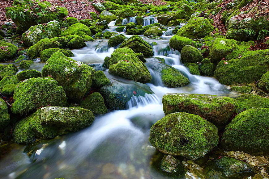 Mossy Rocks in a Flowing Forest Stream