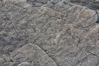 Close-up of weathered gray rock surface with natural stone texture