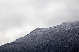 Snow-covered mountain ridge with dense forest and overcast sky