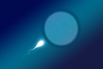 Glowing sperm cell approaching egg cell on blue background