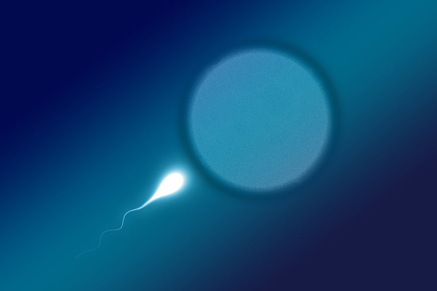 Glowing sperm cell approaching egg cell on blue background
