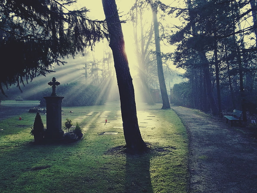 Mystical Sunbeams Illuminating a Quiet Cemetery Landscape