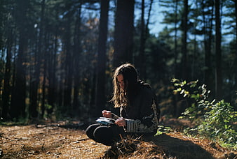 Woman Reading Book in Sunlit Pine Forest