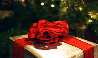Silver Wrapped Christmas Gift with Red Ribbon Under Tree