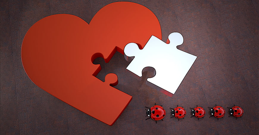 Red Heart Puzzle Piece With Ladybugs On Dark Wood Surface