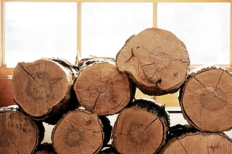 Stacked firewood logs with snow near bright window