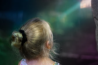 Back view of little girl with blonde bun in sunlight
