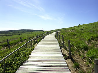 Wooden boardwalk path leading through green grassy hills under a clear blue sky