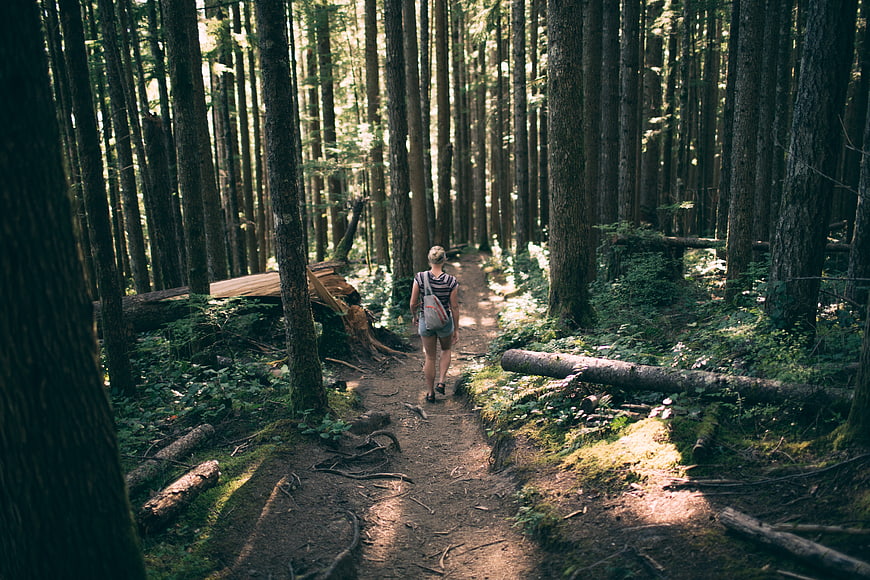 Woman Hiking on Forest Trail in Tall Pine Woods