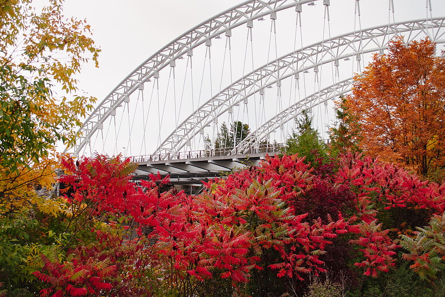 White Arch Bridge Over Vibrant Autumn Foliage