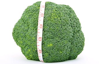 Fresh Broccoli Head Measured With Red Tape On White Background