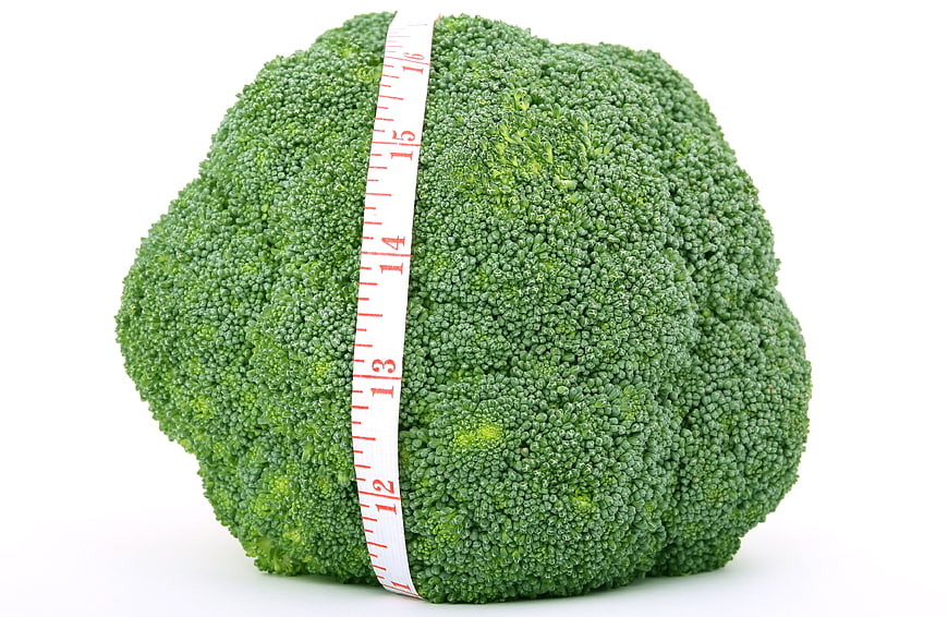 Fresh Broccoli Head Measured With Red Tape On White Background