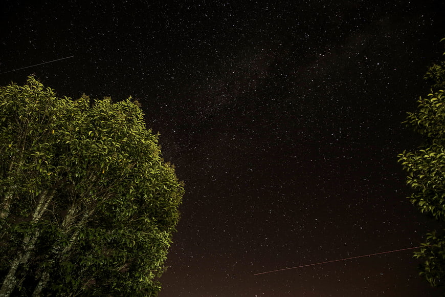 Starry Night Sky with Trees and Satellite Trails