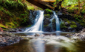 Serene Forest Waterfall with Long Exposure Misty Stream