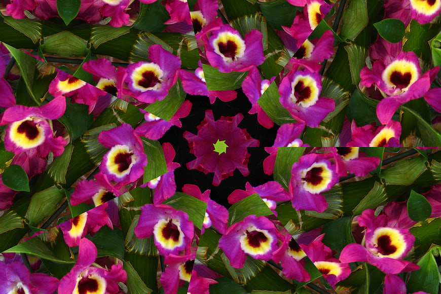 Kaleidoscope Pattern of Pink and Yellow Orchids