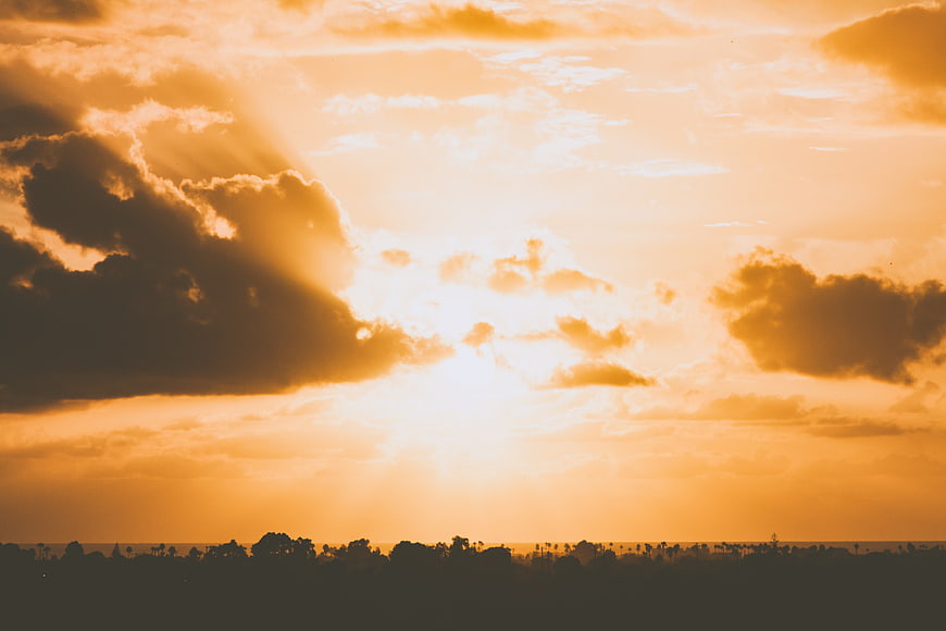 Dramatic golden sunset with sun rays and tree silhouette