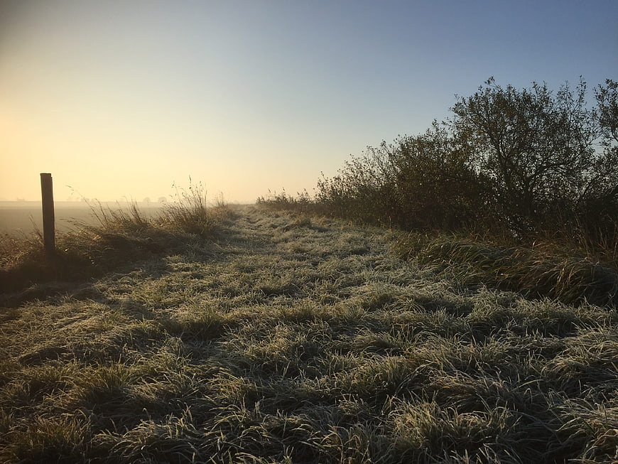 Frosty grass path in rural landscape at sunrise