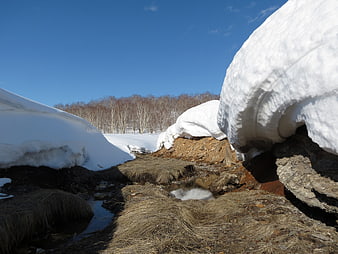 Winter Stream Flowing Through Snow Drifts and Birch Forest