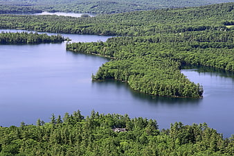 Aerial View of Forested Peninsula in Blue Lake