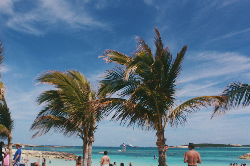 Tropical Beach Scene with Palm Trees and Turquoise Ocean
