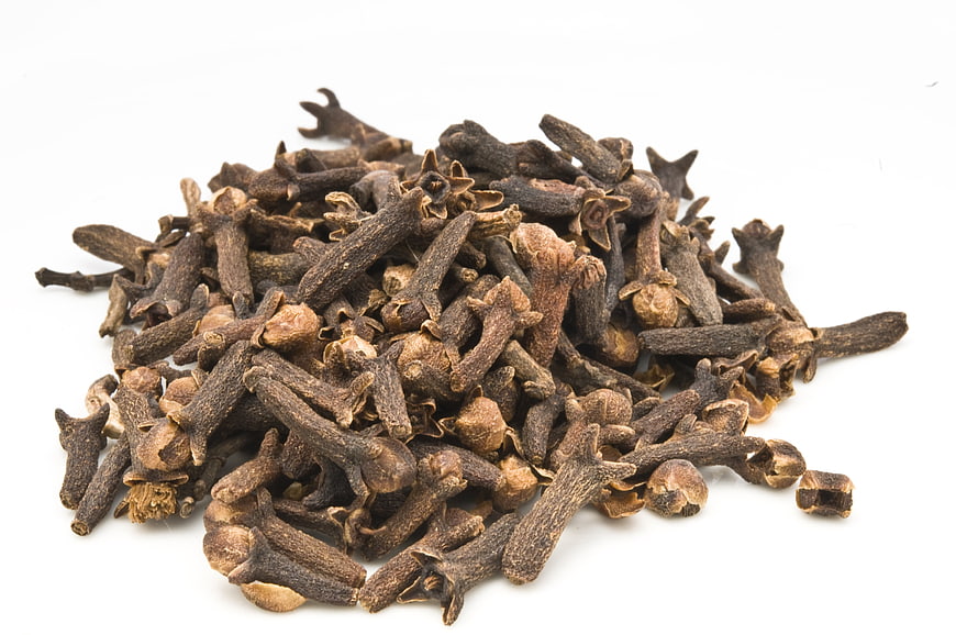 Pile of dried cloves on white background