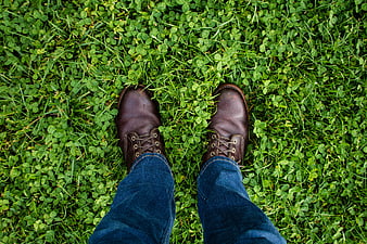 First-person view of brown leather shoes on green clover grass
