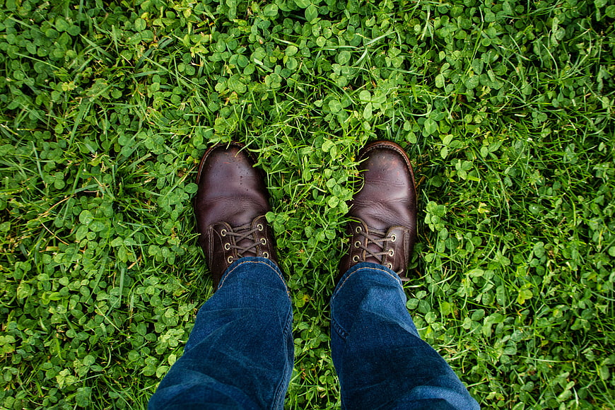First-person view of brown leather shoes on green clover grass