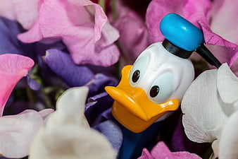 Donald Duck Pez Dispenser Surrounded by Pink and Purple Flowers