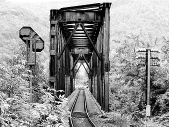 Black and white railway bridge in forest