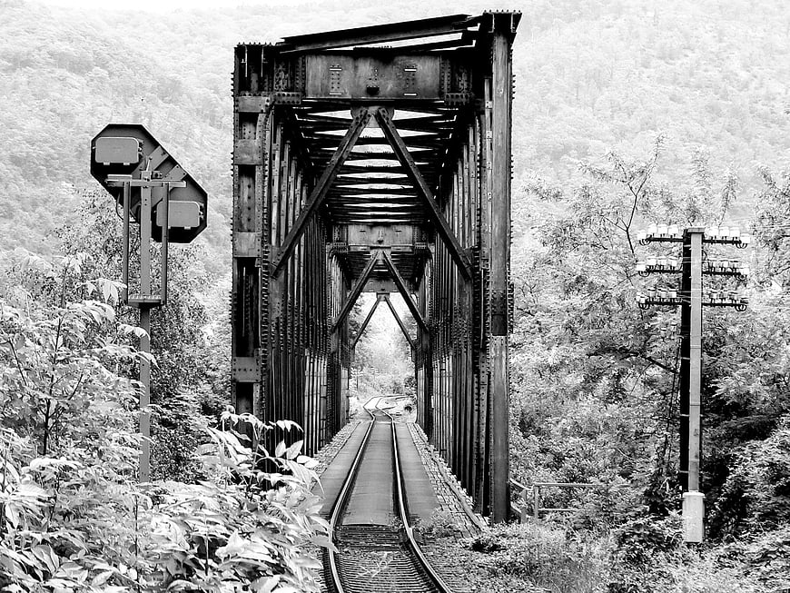 Black and white railway bridge in forest
