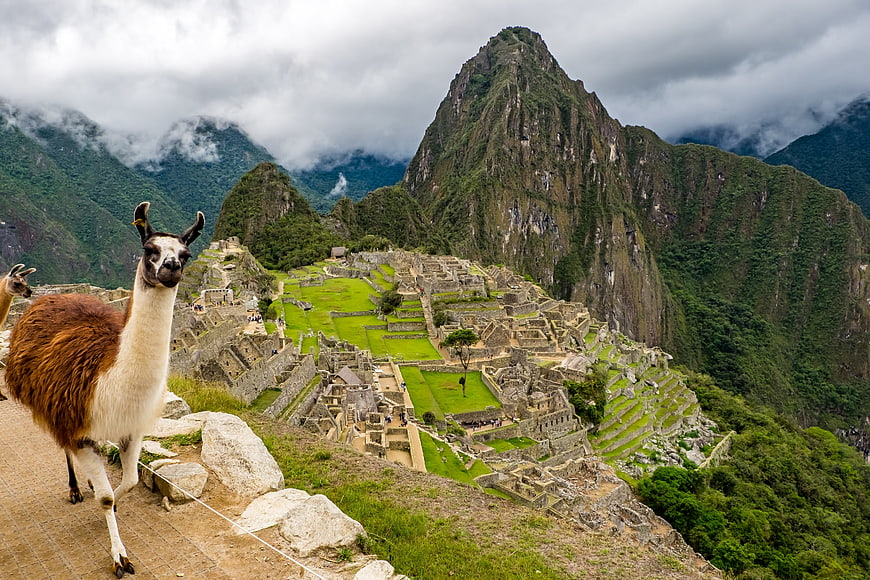 Llama at Machu Picchu with Huayna Picchu Mountain