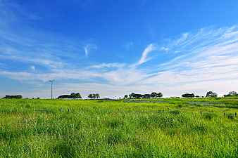 Vibrant Green Grassland Under Blue Sky with White Clouds