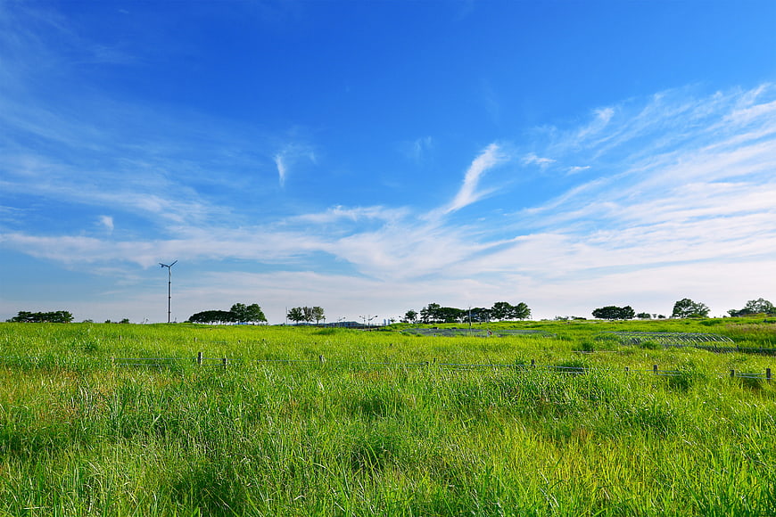 Vibrant Green Grassland Under Blue Sky with White Clouds