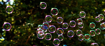Colorful Soap Bubbles Floating Against Blurred Green Background