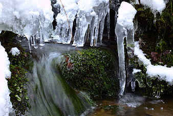 Frozen icicles hanging over a mossy winter stream