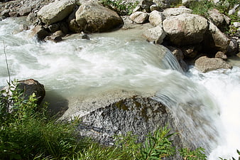 Rushing Alpine River Flowing Over Rocks in Nature