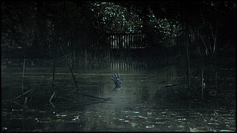 Horror Hand Emerging From Dark Swamp Water At Night